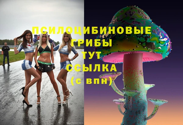 mdpv Бородино