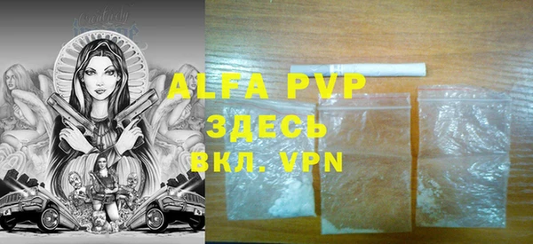 mdpv Бородино