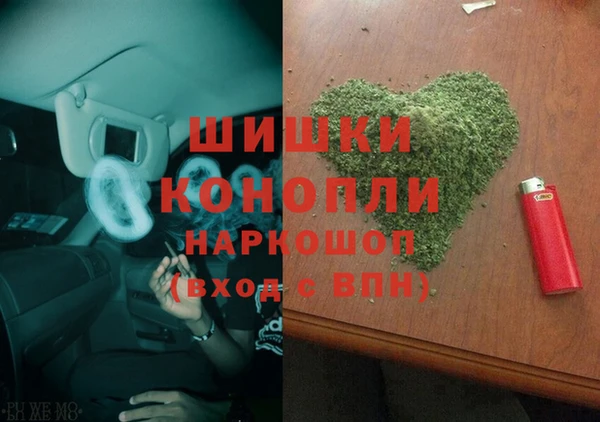 mdpv Бородино